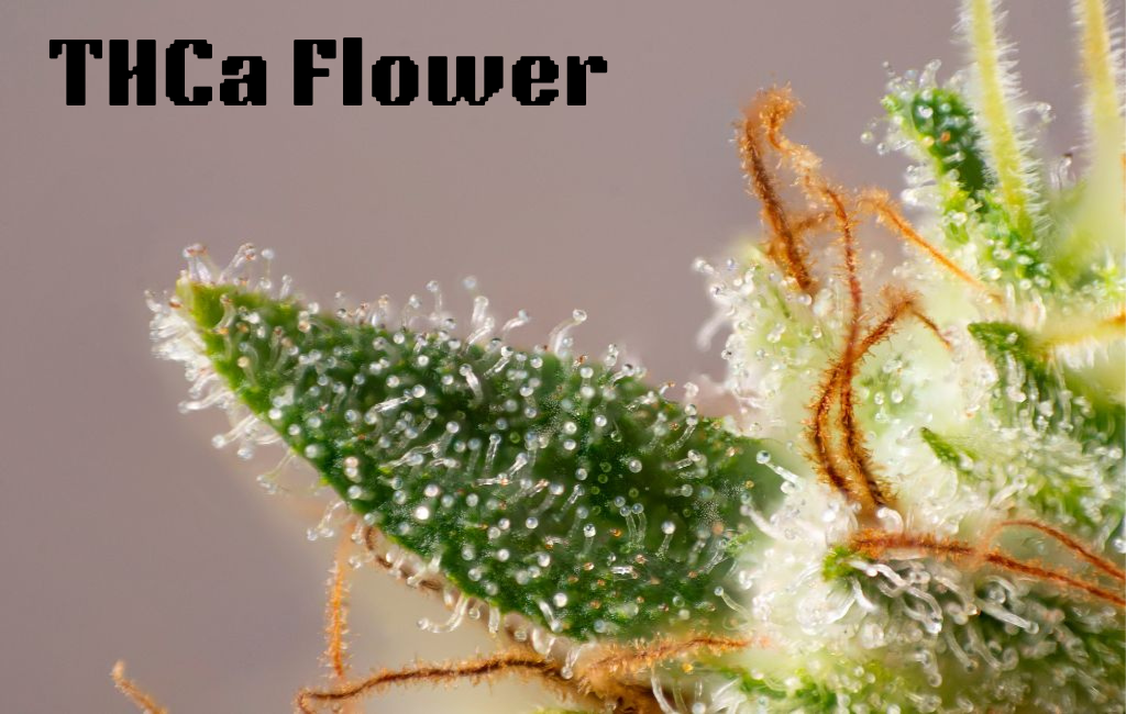 THCa Flower: Ways to Consume